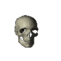 Skull Animation.